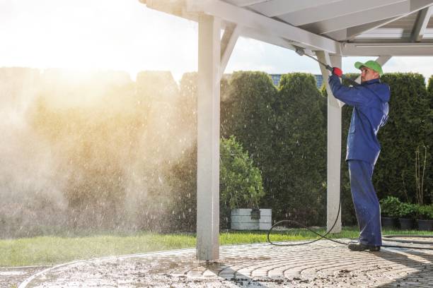 Best Soft Washing  in Mount Clemens, MI